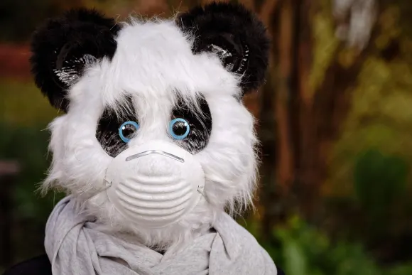 БетОриджинъл Казино Поддръжка